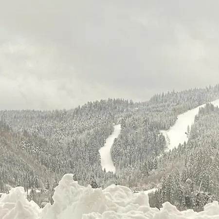 App Le Nid D'abeille Pour 2 Pers,spa Privee Des Le 1ier Mai, Belle Vue Avec Terrasse * Gérardmer