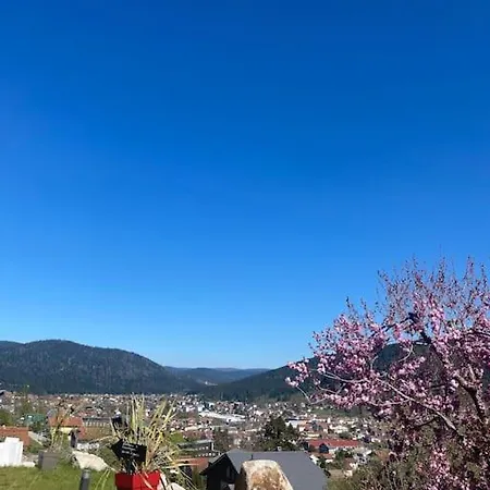 Le Nid D'abeille Pour 2 Pers,2spa,belle Vue Avec Terrasse Apartment *