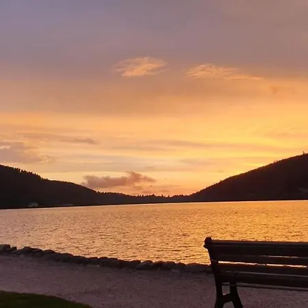 App Le Nid D'abeille Pour 2 Pers,spa Privee Des Le 1ier Mai, Belle Vue Avec Terrasse Apartman *