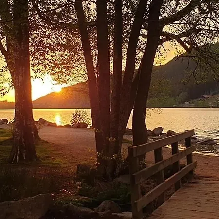 App Le Petit Nid D'Abeille Cocon Pour 2 Pers, Spa Privee Et Sauna, Belle Vue Avec Terrasse *