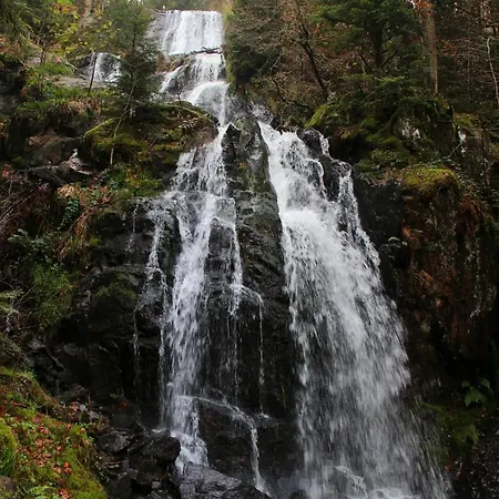 App Le Nid D'abeille Pour 2 Pers,spa Privee Des Le 1ier Mai, Belle Vue Avec Terrasse Apartman