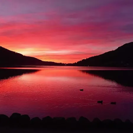 App Le Nid D'abeille Pour 2 Pers,spa Privee Des Le 1ier Mai, Belle Vue Avec Terrasse * Gérardmer