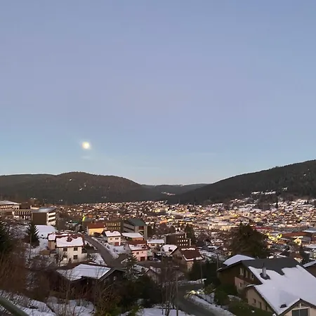App Le Petit Nid D'Abeille Cocon Pour 2 Pers, Spa Privee Et Sauna, Belle Vue Avec Terrasse 아파트 제라르메르