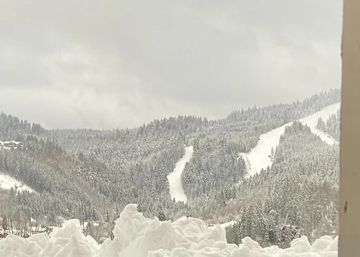 App Le Nid D'abeille Pour 2 Pers,spa Privee Des Le 1ier Mai, Belle Vue Avec Terrasse * Gérardmer