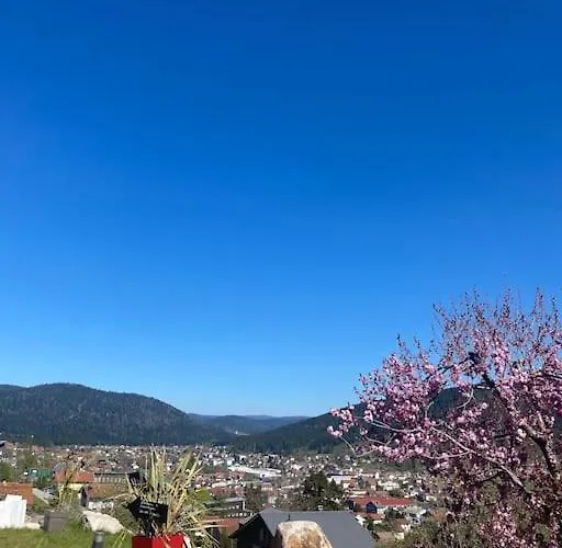 App Le Nid D'abeille Pour 2 Pers,spa Privee Des Le 1ier Mai, Belle Vue Avec Terrasse Appartement *