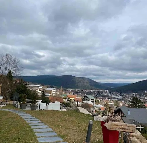 App Le Nid D'abeille Pour 2 Pers,spa Privee Des Le 1ier Mai, Belle Vue Avec Terrasse Appartement