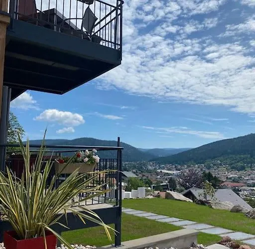 App Le Nid D'abeille Pour 2 Pers,spa Privee Des Le 1ier Mai, Belle Vue Avec Terrasse Gérardmer