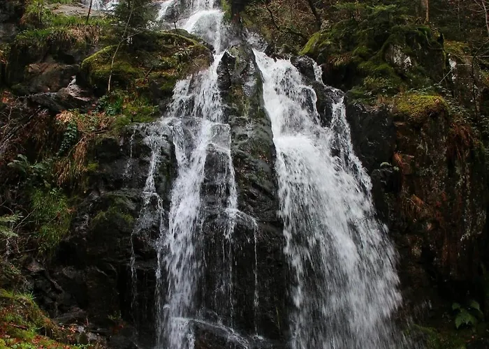 App Le Nid D'abeille Pour 2 Pers,spa Privee Des Le 1ier Mai, Belle Vue Avec Terrasse Appartement