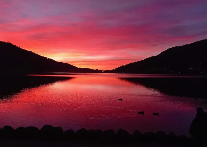 App Le Nid D'abeille Pour 2 Pers,spa Privee Des Le 1ier Mai, Belle Vue Avec Terrasse * Gérardmer
